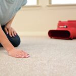 Floor Dryer Rug Doctor by BISSELL