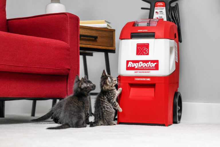 Carpet Cleaner with kittens