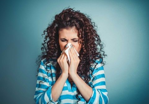Carpets and Allergies