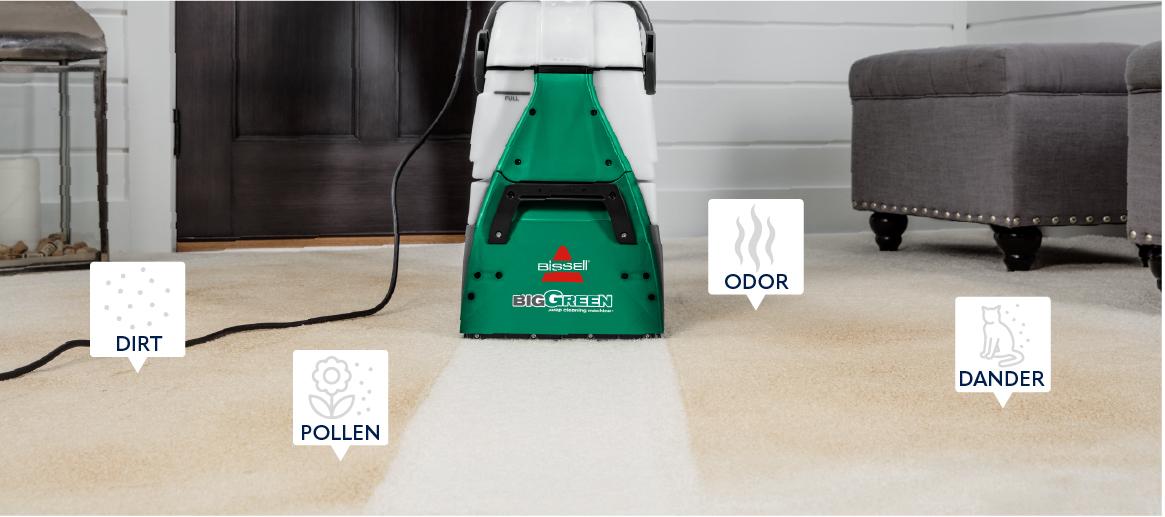 Carpets and allergies