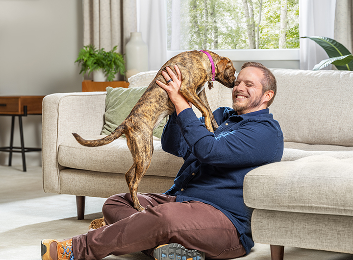 How often should you clean your carpet? Man with dog on floor.