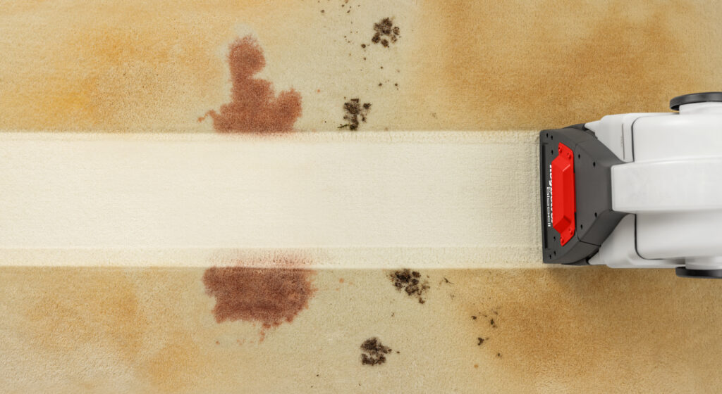 Best Reasons to Rent a Carpet Cleaner (Why Rug Doctor by BISSELL is Worth It)
