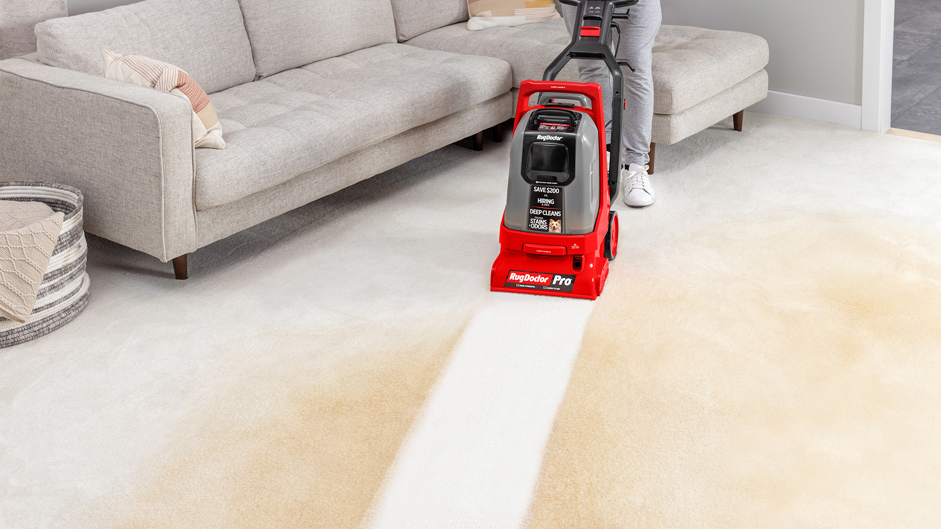 Clean path from deep cleaning with Rug Doctor carpet cleaner