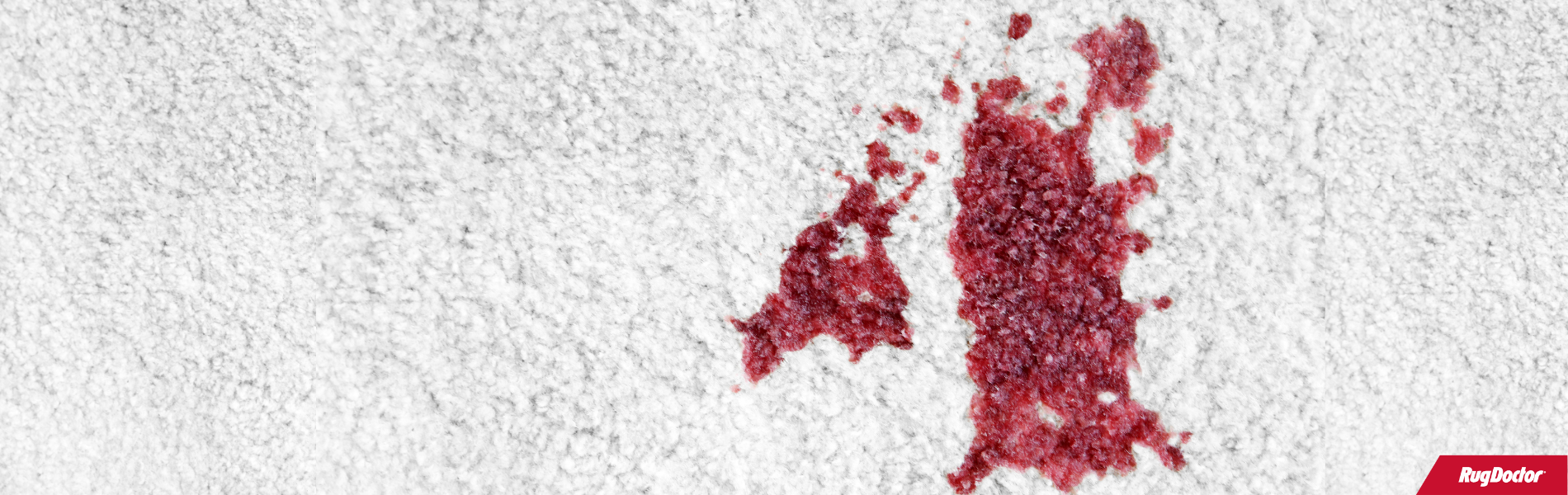 Small blood stain on bright white carpet